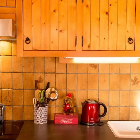 New - Les Carlinottes - - Au Pied Des Pistes - In-ski Out Apartment